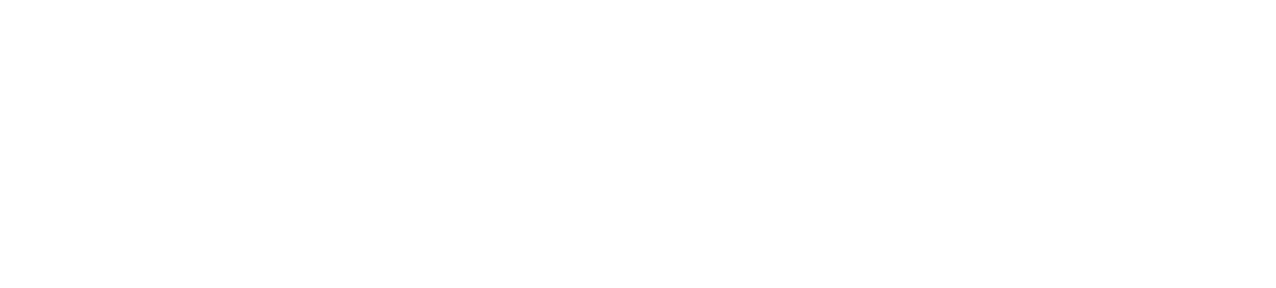 idsports_logo_white