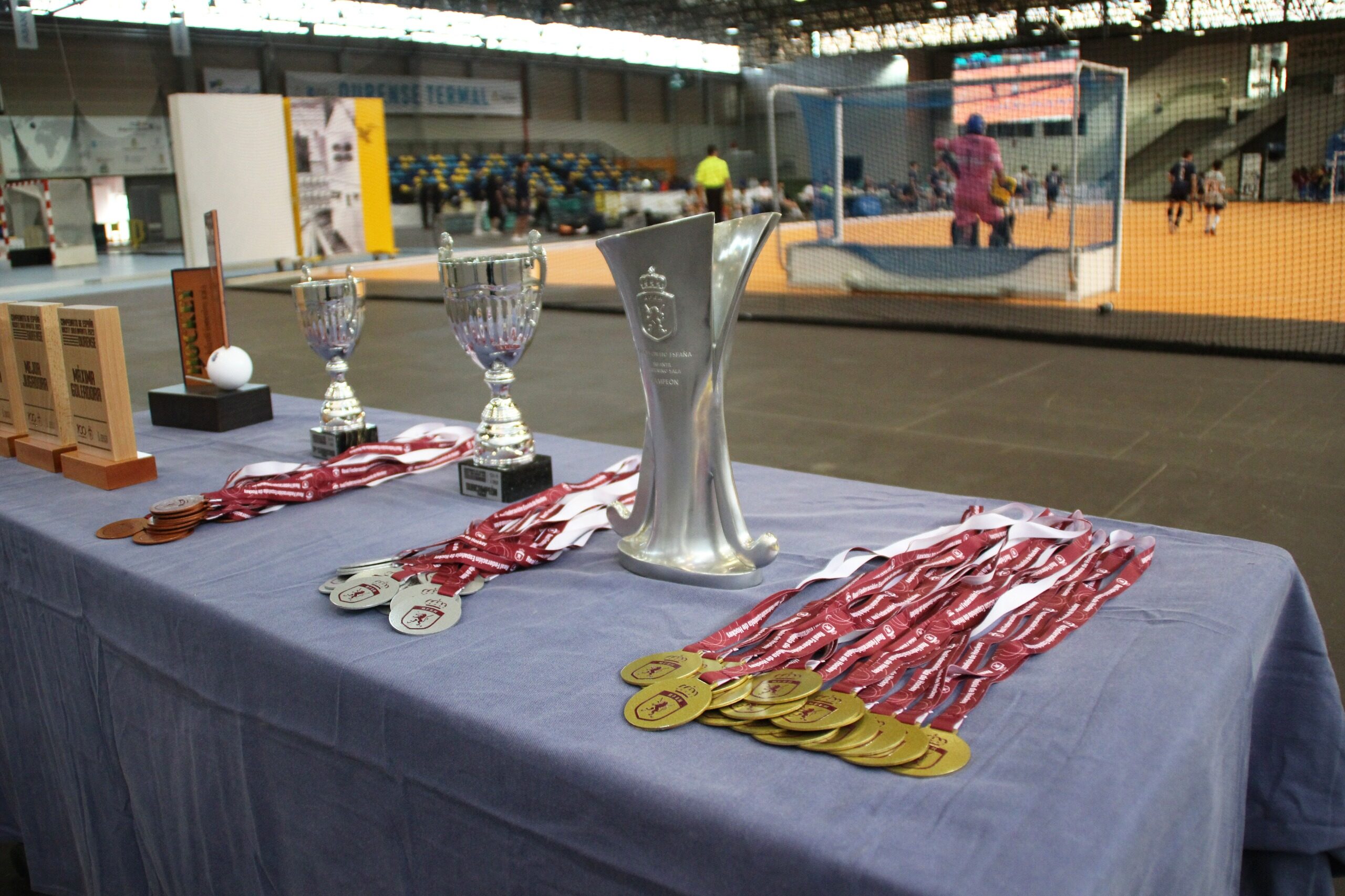 Imagen de WhatsApp 2024-04-30 a las 16.14.14_2e20a4ca