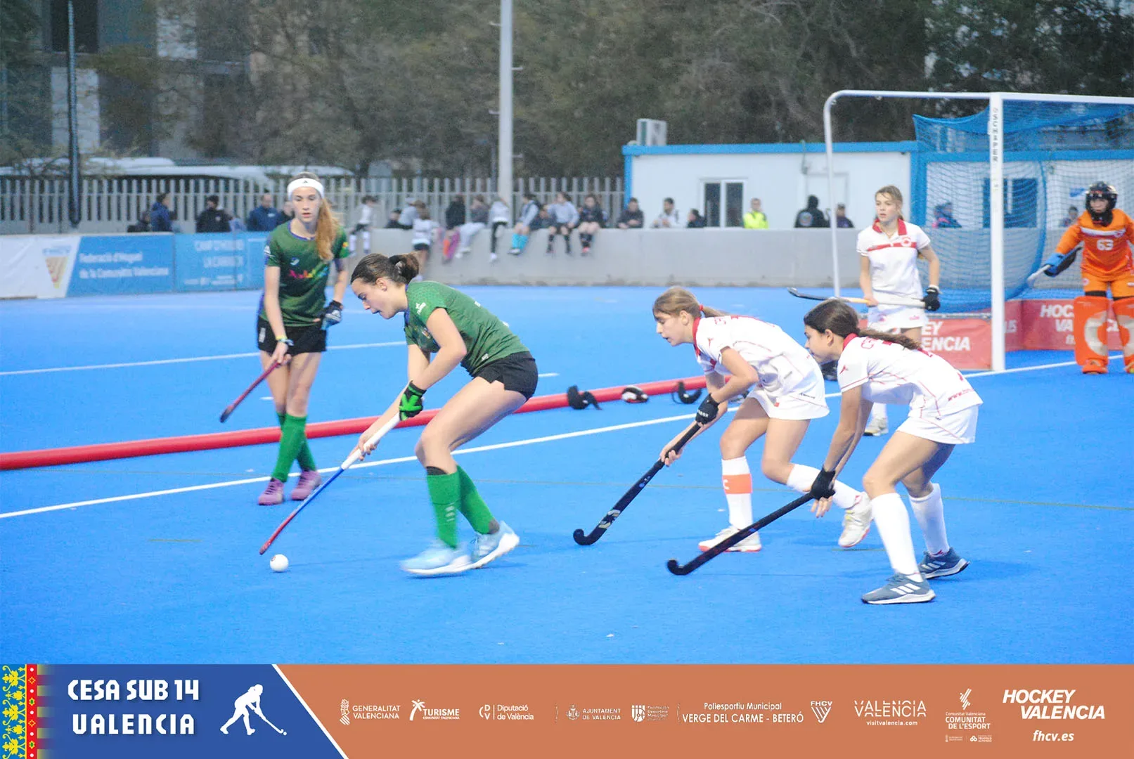 486067872_1214046524055194_4206577128155824517_n