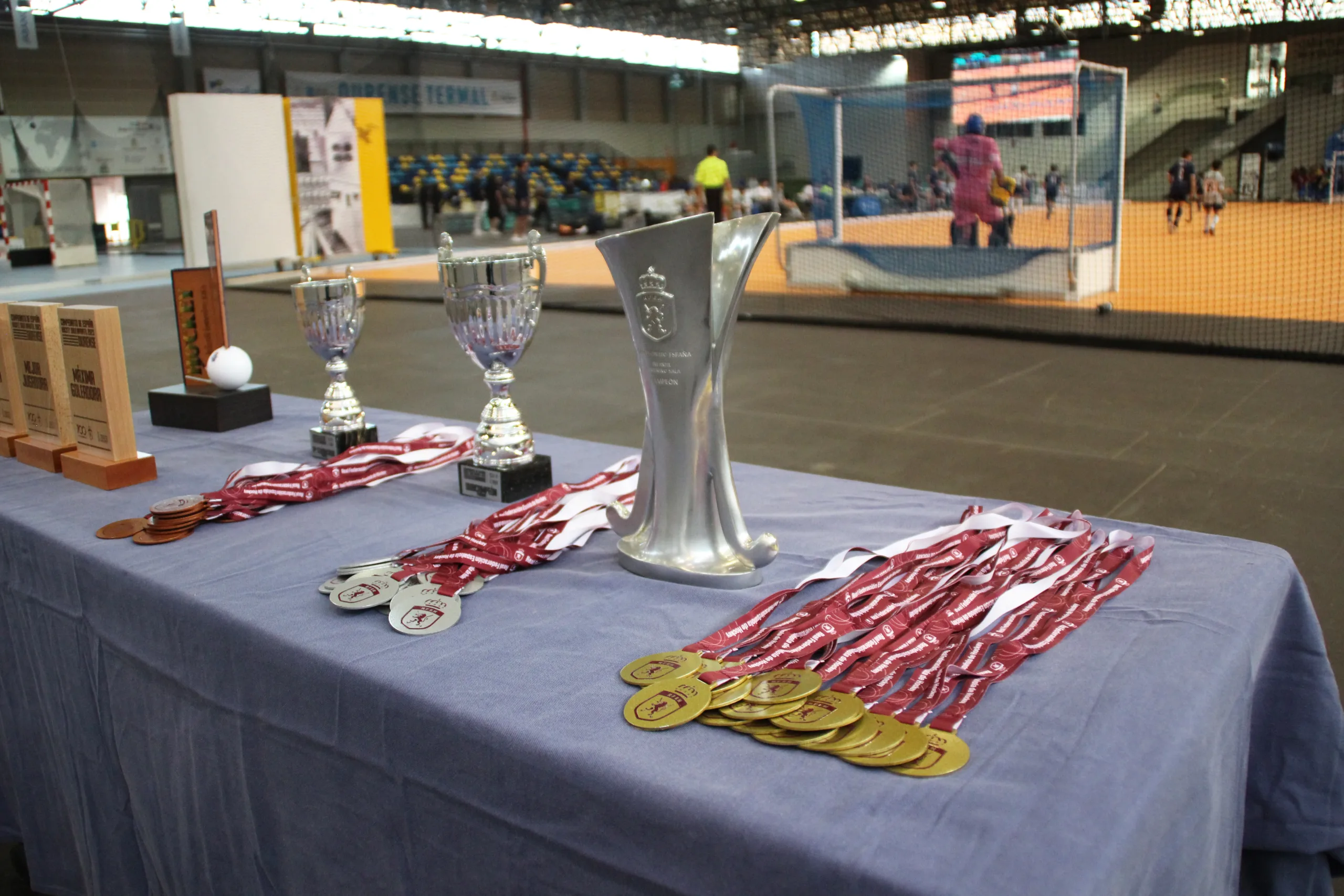 MÁLAGA ACOGE LA FASE FINAL DEL CTO. ESPAÑA DHF SALA